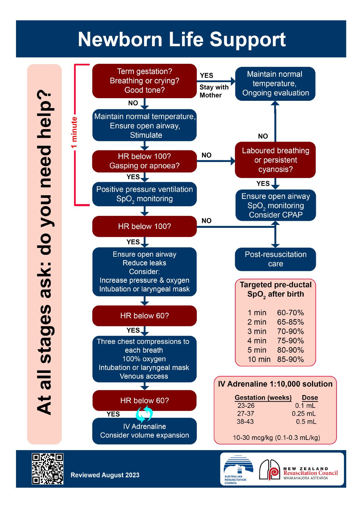 Algorithms Newborn life support Algorithms Newborn life support